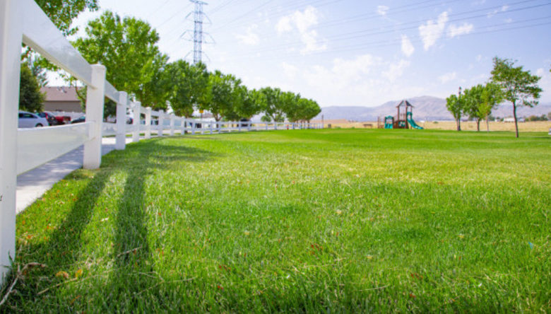 El Departamento de Parques de Herriman conserva agua e insta a los residentes a hacer lo mismo