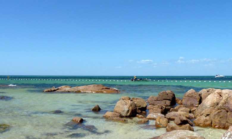 Un joven en estado crítico por un ataque de tiburón en una playa del noreste de Australia