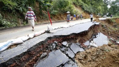 Fuertes lluvias dejan 28 muertos en oeste de India y dan paso a una invasión de cocodrilos