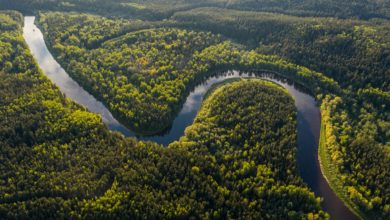 El rio Amazonas, un gigante fluvial que desafía los límites