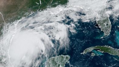 Se forma la tormenta tropical Francine, que podría alcanzar la costa de EE.UU. como huracán