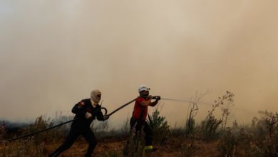 Incendios forestales siguen afectando a dos provincias del centro de Argentina