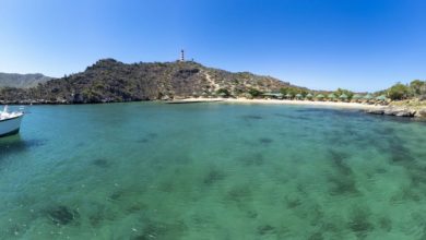 El Día Mundial de las Playas: Por un futuro más limpio y saludable para nuestros océanos