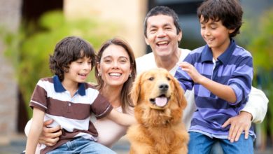 Mes de la Herencia Hispana ¿Qué raza de perro prefieren los latinos?