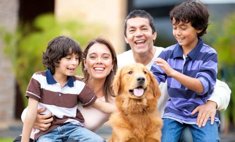 Mes de la Herencia Hispana ¿Qué raza de perro prefieren los latinos?