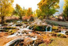 El Gobierno invita a disfrutar el cambio de estación ¡Feliz otoño, Utah!