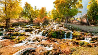 El Gobierno invita a disfrutar el cambio de estación ¡Feliz otoño, Utah!