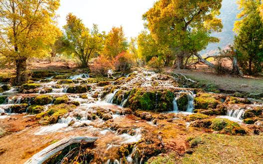 El Gobierno invita a disfrutar el cambio de estación ¡Feliz otoño, Utah!