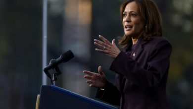 Harris considera postularse a la Casa Blanca en las elecciones de 2028, según Politico