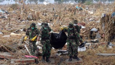 El tsunami del Índico en cifras: más de 228.000 muertos en 14 países y olas de 30 metros