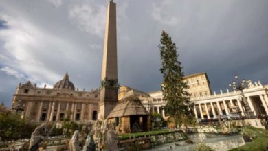 Inauguran en el Vaticano el pesebre y el árbol de Navidad 2024 (+VIDEO)