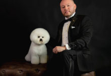 Freddy Guzmán, el líder latino en el mundo de las exposiciones caninas con bichón frisé