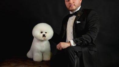 Freddy Guzmán, el líder latino en el mundo de las exposiciones caninas con bichón frisé