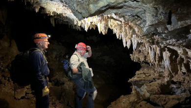 Hallazgo en Utah: Recuperan esqueleto de un zorro de 26.000 años de antigüedad