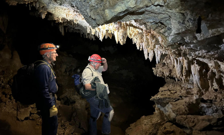 Hallazgo en Utah: Recuperan esqueleto de un zorro de 26.000 años de antigüedad