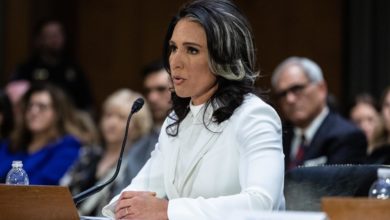 El Senado confirma a Tulsi Gabbard como directora de la Inteligencia de EE.UU.