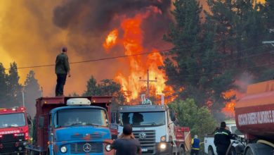 Incendios en la patagonia argentina no se detienen y afectan ya más de 20.000 hectáreas