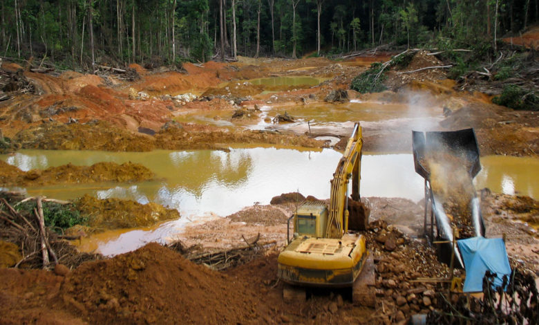 La minería de oro destruye la Amazonía peruana a un ritmo sin precedentes