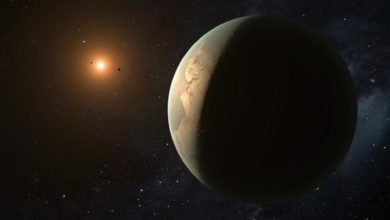 Descubren una supertierra en la zona habitable de una enana roja cercana