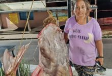 Lola la pescadora sorprende con la captura de un impresionante lau lau en el Orinoco (+FOTOS)